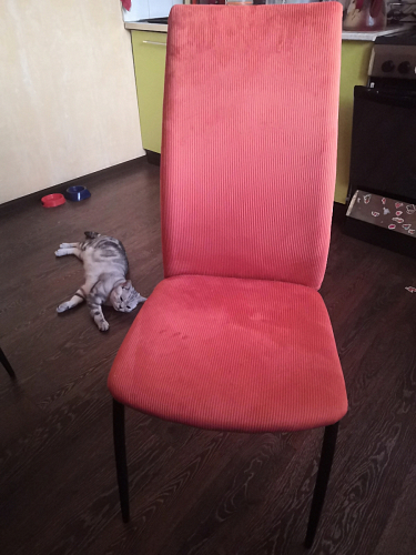 Стул Tod gray / black фото покупателя 69