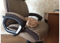 Компьютерное кресло Duke бордо / черный фото покупателя 2