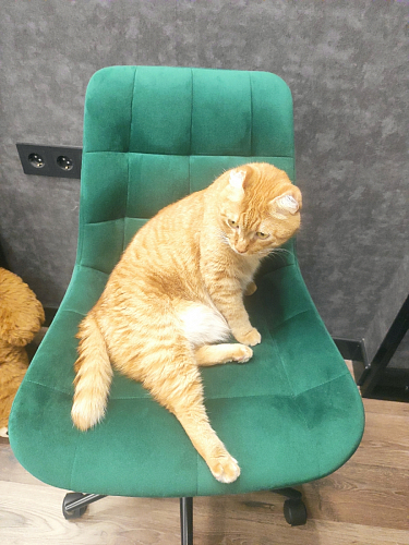 Компьютерное кресло Честер экокожа бежевая / белый фото покупателя 57