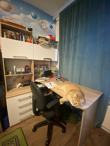 Компьютерный стол КСТ-14П белый правый  - Уцененный экземпляр фото покупателя 4