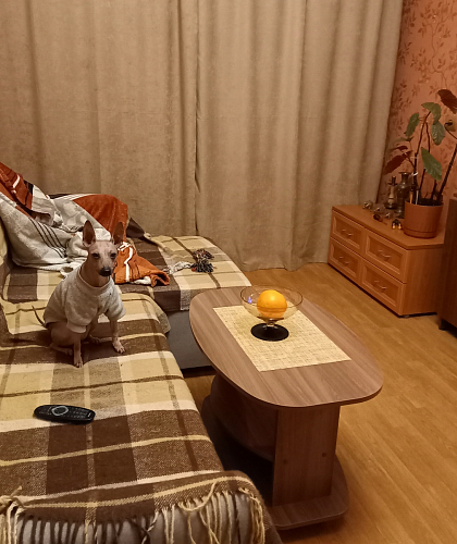 Журнальный стол Лидер дуб млечный фото покупателя 1