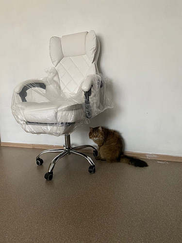 Компьютерное кресло Kolson black фото покупателя 22