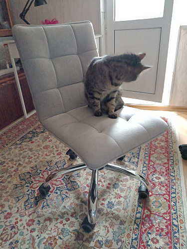 Офисное кресло Zero/Зеро белый фото покупателя 226