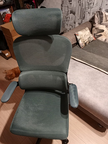 Компьютерное кресло Sprut light gray фото покупателя 1