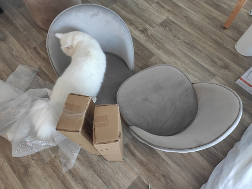 Стул Dodo синий фото покупателя 33