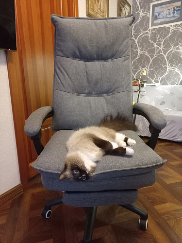 Компьютерное кресло Rapid голубое фото покупателя 61