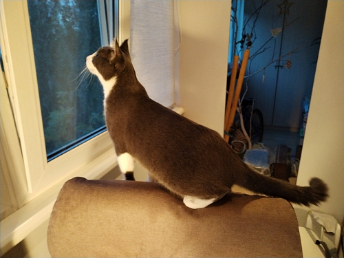 Компьютерное кресло Duke metal BL серый фото покупателя 7