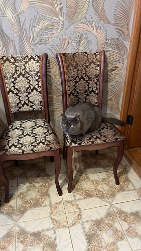 Деревянный стул Фабиано белый / бежевый фото покупателя 2