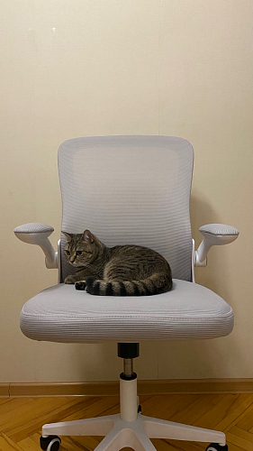 Компьютерное кресло Konfi dark gray / pink / white фото покупателя 234