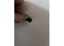 Компьютерное кресло Kolson whitе фото покупателя 46