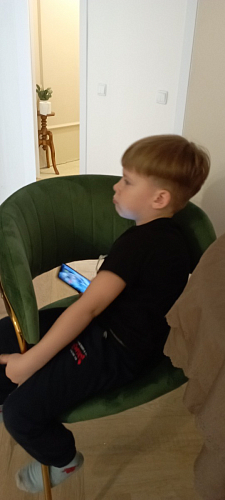 Стул на металлокаркасе Kamelia зеленый / золото фото покупателя 16