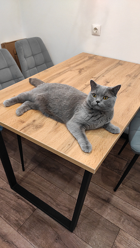 Стол раскладной Лота Лофт 120 25 мм юта / черный матовый фото покупателя 1024