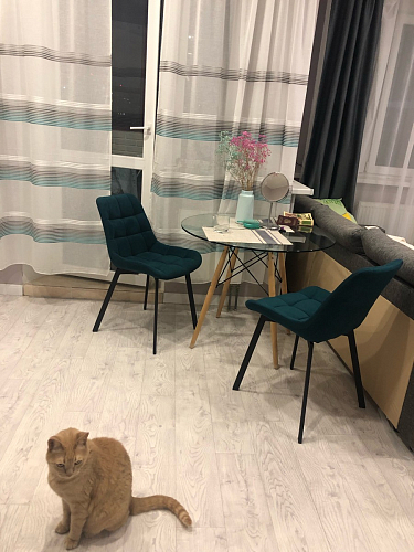 Стул на металлокаркасе Челси морская волна / черный фото покупателя 175