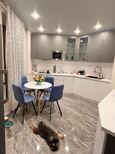 Стул на металлокаркасе Чилли К светло-серый велюр / черный каркас фото покупателя 1004