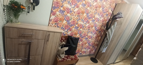 Обувница ТП-4 дуб сонома - Уцененный экземпляр фото покупателя 20