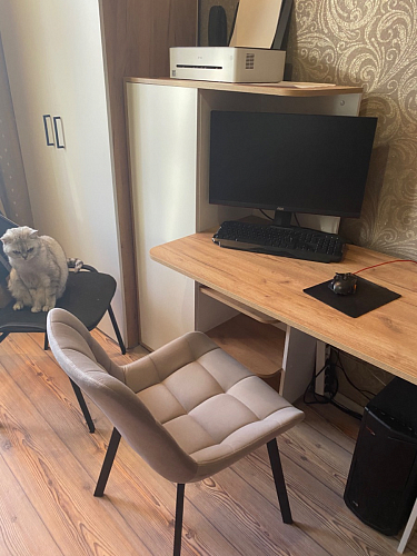 Стул на металлокаркасе Челси латте / черный фото покупателя 175