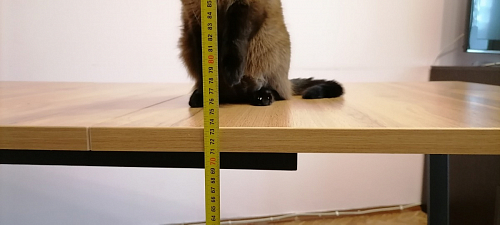 Стол раскладной Лота Лофт 120 25 мм юта / черный матовый фото покупателя 323