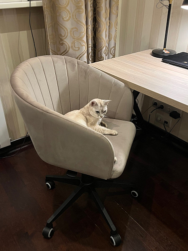 Компьютерное кресло Тибо сиреневый фото покупателя 149