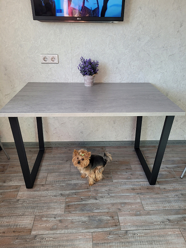 Стол Лота Лофт 120 32 мм бетон / черный матовый фото покупателя 162