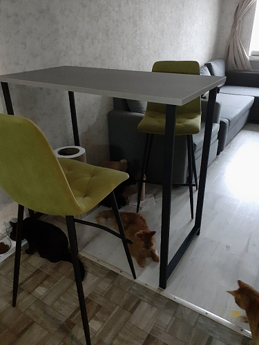 Барная стойка Дилан Лофт 120х40х98 дуб делано темный фото покупателя 61