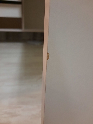 Письменный стол СПм-25 правый белый фото покупателя 13