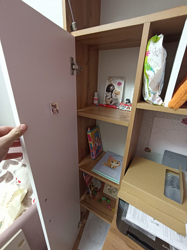 Письменный стол Лайт 03.243 дуб золотой (craft) / белый премиум фото покупателя 175