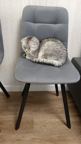 Стул на металлокаркасе Чилли К черный / зеленый фото покупателя 215