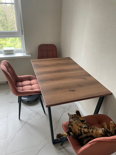 Деревянный стол Лота Лофт 120х75 белый матовый / дуб крафт золотой фото покупателя 54