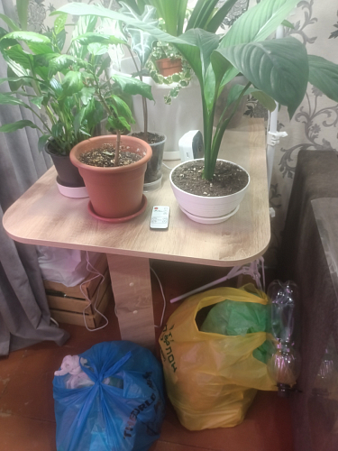 Стол-книжка Мечта дуб сонома фото покупателя 106