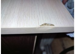 Стол письменный СП4 венге фото покупателя 21