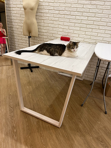 Стол раскладной Лота Лофт 120 25 мм юта / черный матовый фото покупателя 907