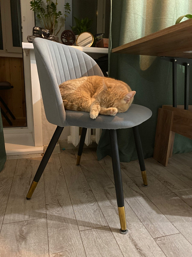 Стул на металлокаркасе Gabi green / black / silver фото покупателя 10