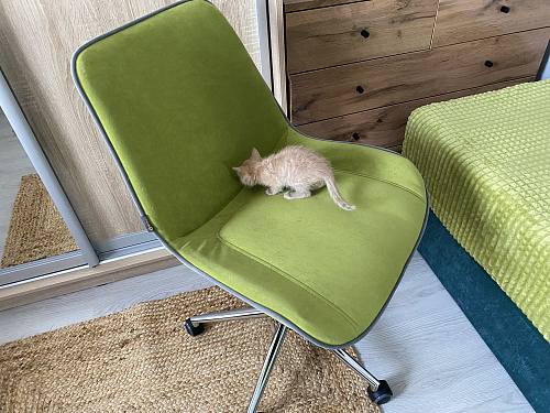 Компьютерное кресло Style/Стайл розовое фото покупателя 14