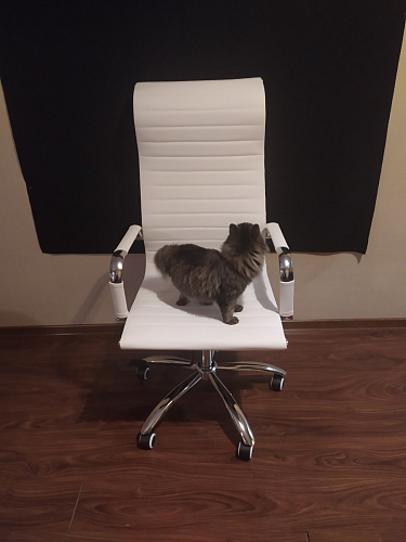 Компьютерное кресло Rota белое фото покупателя 26