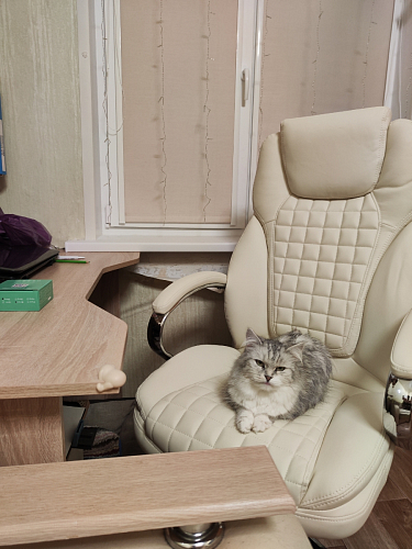 Компьютерное кресло Herd light grey фото покупателя 94