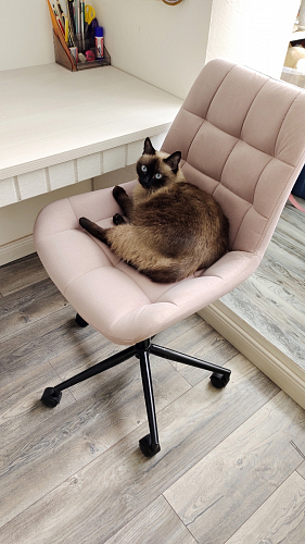 Компьютерное кресло Честер латте / черный фото покупателя 50