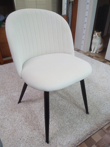 Стул на металлокаркасе Gabi gray / black фото покупателя 143