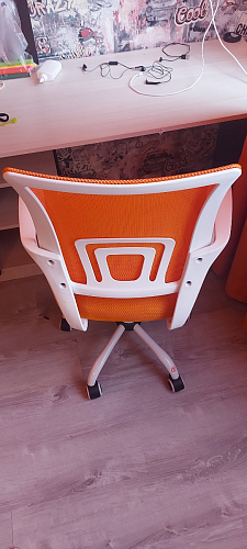 Компьютерное кресло Ergoplus белое / серое фото покупателя 14