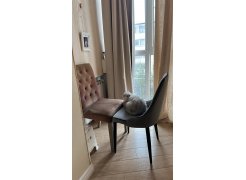 Стул на металлокаркасе Kora white фото покупателя 285