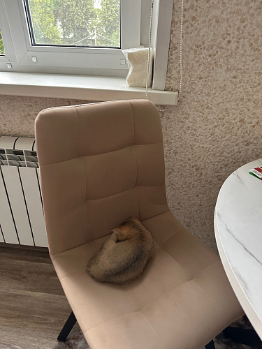 Стул на металлокаркасе Чилли К светло-серый велюр / черный каркас фото покупателя 184