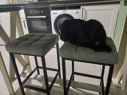 Барный стул Лофт катания минт / белый матовый фото покупателя 230