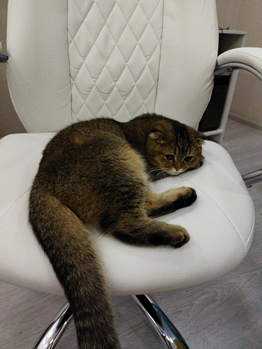 Компьютерное кресло Aragon dark grey - Уцененный экземпляр фото покупателя 87