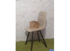 Стул на металлокаркасе Чилли черный фото покупателя 600