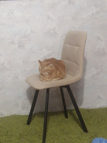 Стул на металлокаркасе Чилли светло-серый / белый каркас фото покупателя 532