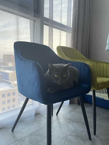 Стул на металлокаркасе Slam синий фото покупателя 70