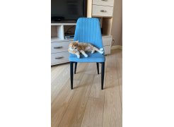 Стул на металлокаркасе Kora white фото покупателя 114