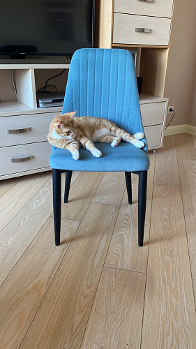 Стул на металлокаркасе Kora light blue / white фото покупателя 114