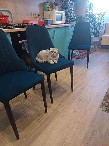 Стул на металлокаркасе Kora light purple / black фото покупателя 386