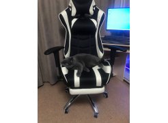 Компьютерное кресло Kano 1 cream / black фото покупателя 156