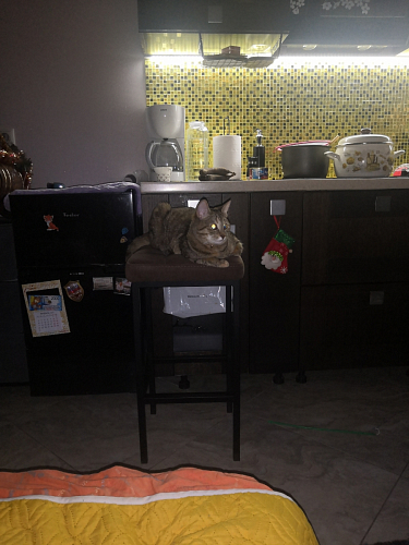 Барный стул Лофт кожзам темно-серый / черный матовый фото покупателя 140